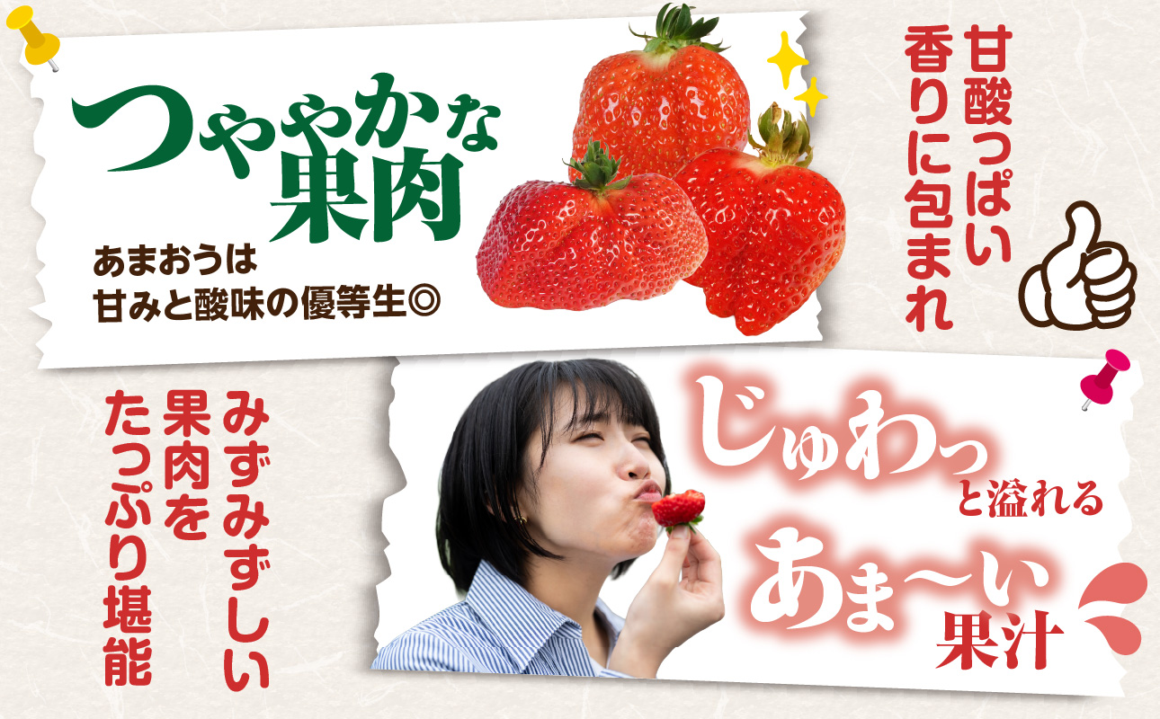 【先行受付：2027年2月発送開始】博多あまおうＧ270g×2パック｜JAふくおか八女 あまおう いちご 苺 イチゴ フルーツ 果物 くだもの 人気 旬 福岡県産 大粒 アフター補償 数量限定 期間限
