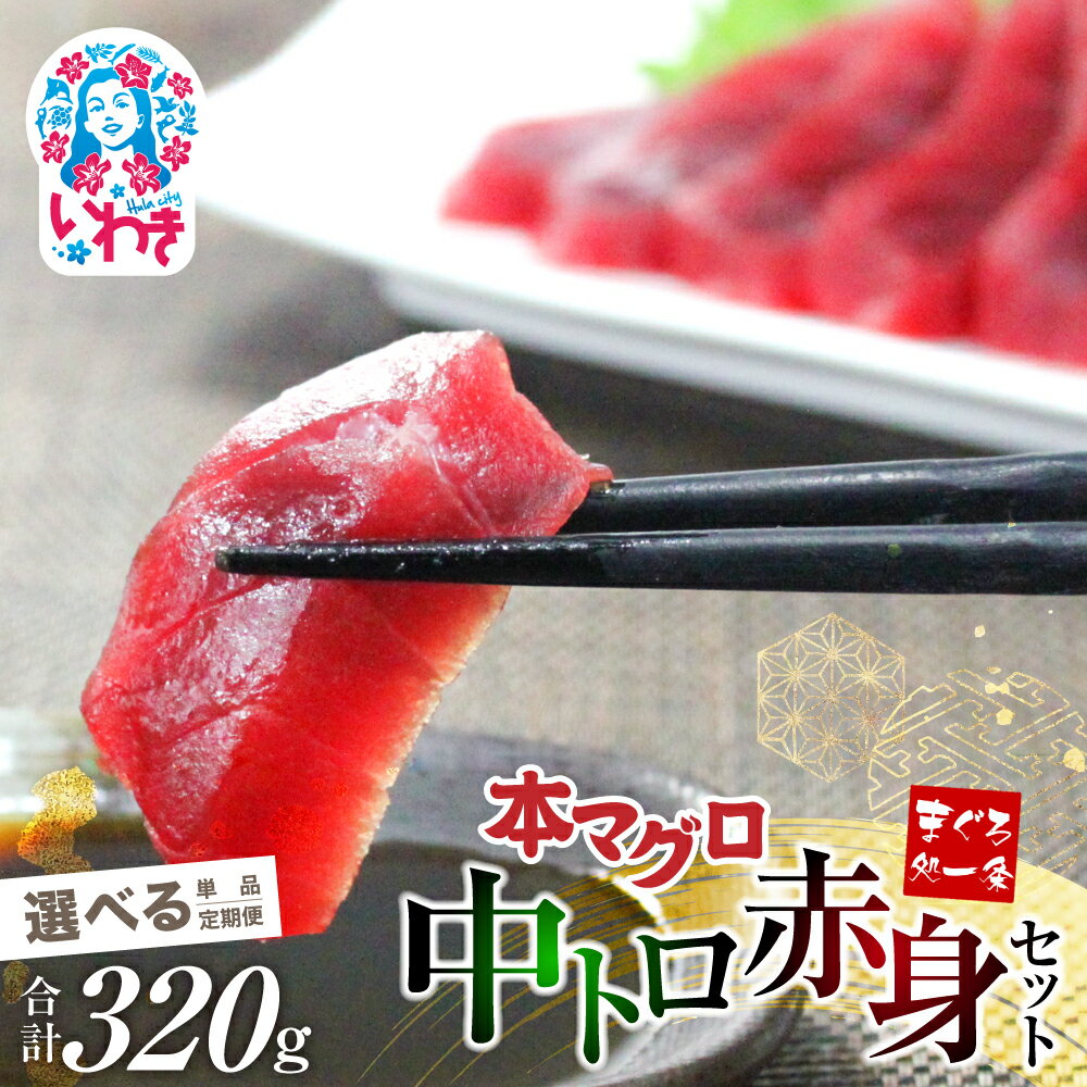 【ふるさと納税】 本マグロ 中トロ 赤身 セット 320g 選べる 定期便 解凍レシピ付 1サクずつ 真空包装 ｜ まぐろ 鮪 マグロ 刺身