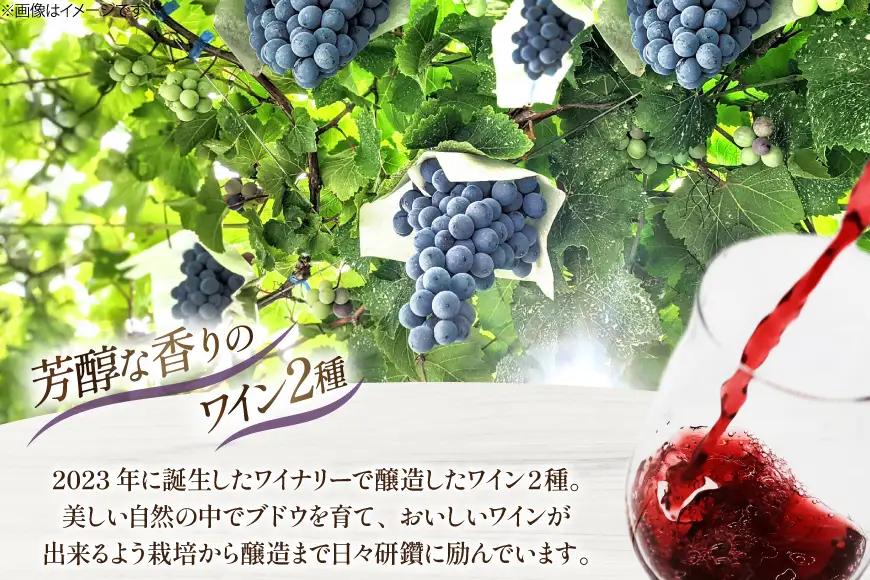 ワイン シャインマスカット醸しワイン 樽熟成赤ワインセット 750ml x 2本