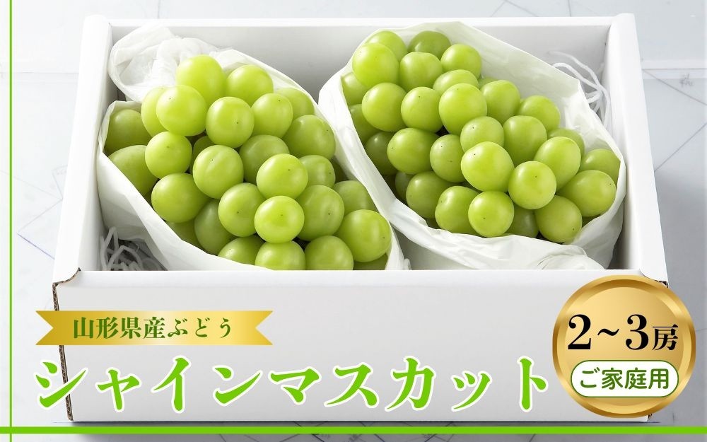 
                  ぶどう（シャインマスカット）２～３房　ご家庭用　0060-2611
                