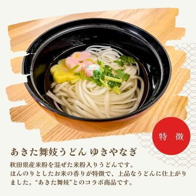 ふるさと納税 能代市 うどん あきた舞妓うどん ゆきやなぎ 100g×25束 なべや製麺[No.5335-1369] |  | 01