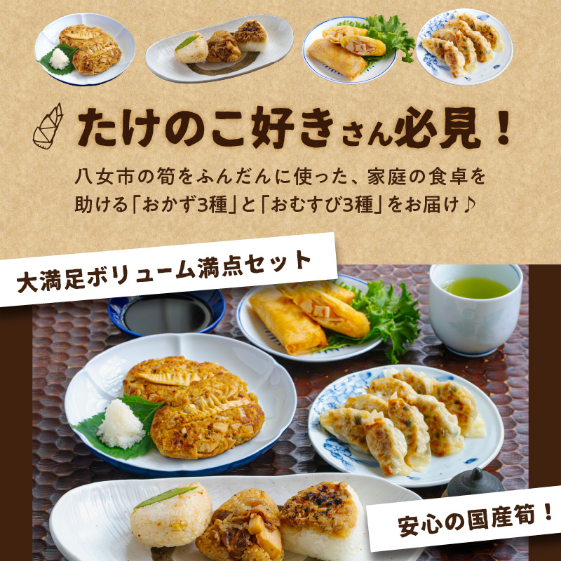 たけのこの都(みやこ)【ふるさと愛プロジェクト】  簡単調理 焼くだけ 揚げるだけ レンチン おかず おにぎり たけのこ 筍 ハンバーグ 餃子 春巻き セット 冷凍 個包装 ギフト プレゼント 福岡県