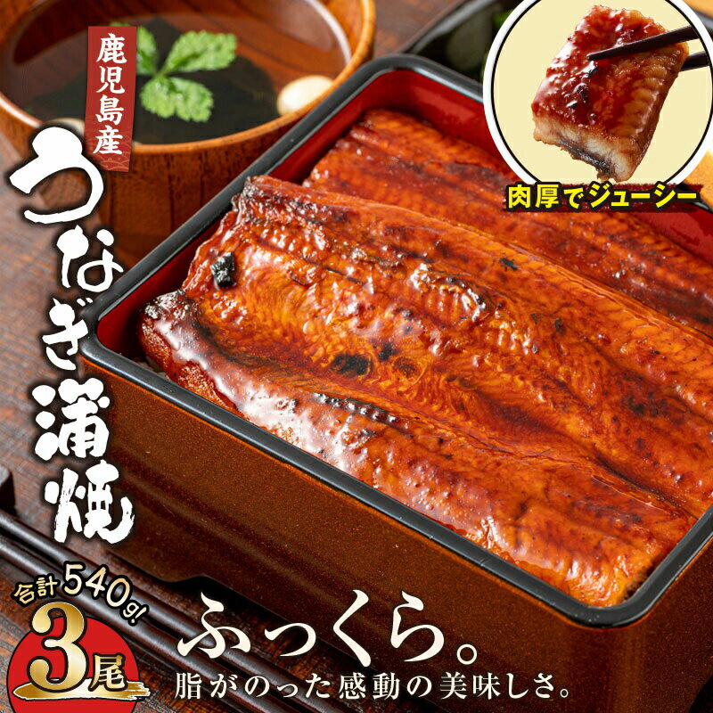【ふるさと納税】【土用の丑の日対応7/7入金まで】鹿児島産うなぎ180g×3尾 合計540g 国産ウナギ 冷凍 真空パック たれ付 山椒付き 鰻かば焼き うな重 ひつまぶし【財宝】