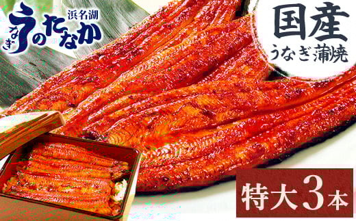 
            浜名湖・うなぎのたなかの長蒲焼3本セット!ふっくら柔らか♪国産うなぎ長蒲焼※合計540g程度【1417629】
          