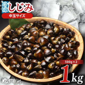 しじみ 冷凍 中玉 1kg（500ｇ×2）砂抜き済み 涸沼川 う女川（IX-114）