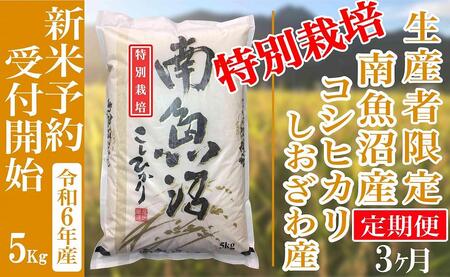 【新米予約・令和6年産】定期便３ヶ月：精米５Kg 【特別栽培】生産者限定 南魚沼しおざわ産コシヒカリ