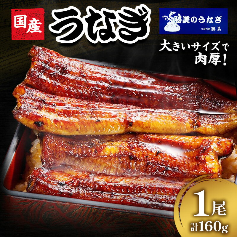 【ふるさと納税】国産 うなぎ 蒲焼 1尾 (約160g×1尾 タレ75ml×1本 山椒×1袋) 鰻 国産 浜松うなぎ 浜名湖うなぎ 蒲焼き プレゼント 贈答 浜名湖 産地直送 冷凍 冷凍配送 静岡 浜松市