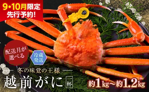 【2026年3月発送・指定日着可】【先行予約 9月10月限定】越前がに（オス）「ずわいがに」特大サイズ（1.0-1.2kg） 1杯