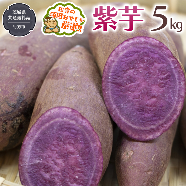 紫芋 5kg 【令和6年12月から発送開始】（茨城県共通返礼品 [さつまいも]：行方市産） さつまいも 紫芋 芋 いも 野菜 [BI414-NT]