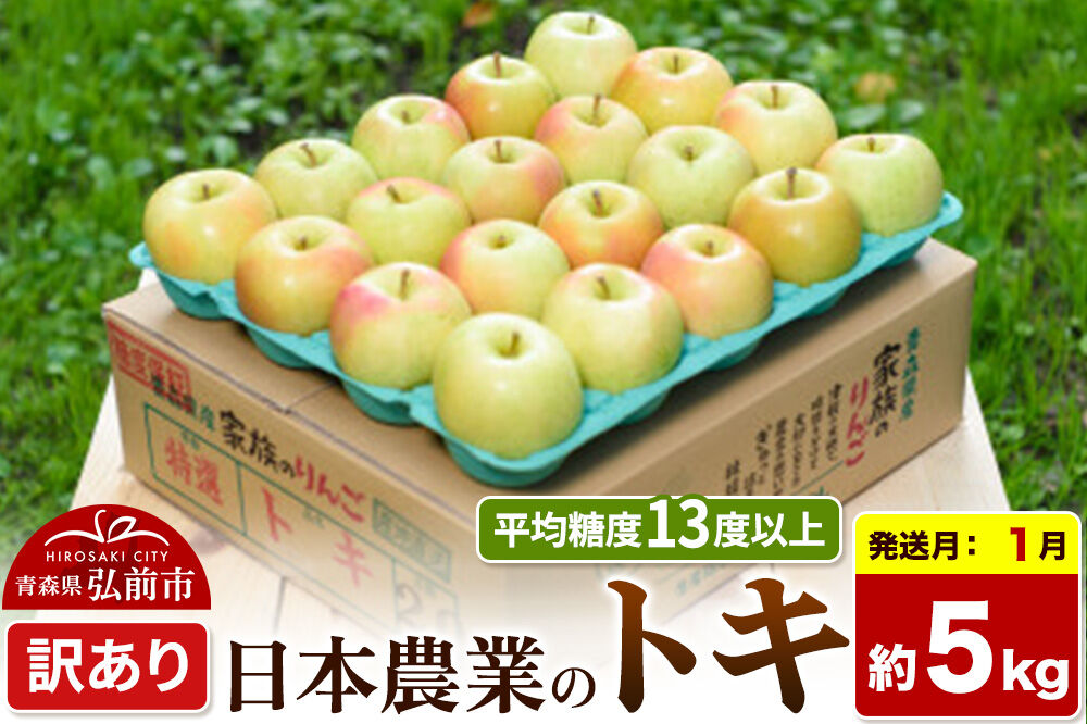 【27年1月発送】りんご トキ【訳あり】約5kg 平均糖度13度以上 青森県 弘前市 果物 フルーツ 林檎 リンゴ くだもの 不揃い 規格外 [先行受付 家庭用 産地直送 アップル 青森県 弘前市]