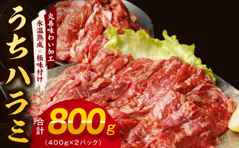 mrz0398 【氷温熟成×特製ダレ】希少部位 牛肉 うちハラミ 800g（400g×2）＜スピード発送＞