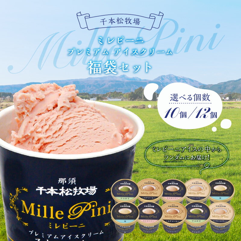 【ふるさと納税】【選べる個数】福袋セット【千本松牧場】栃木県 那須塩原市 アイスクリーム ミルク お菓子 おやつ スイーツ デザート 詰め合わせ 乳製品 牛乳 生乳 国産 高品質 送料無料
