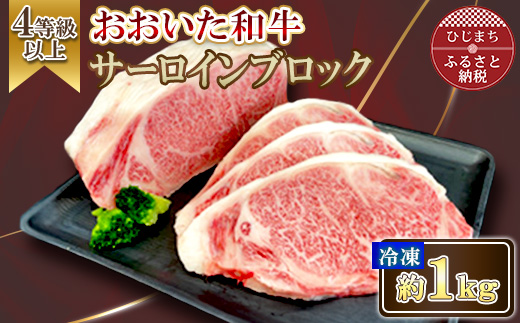 おおいた和牛 サーロインブロック　1kg【配送不可地域：離島】【1700994】