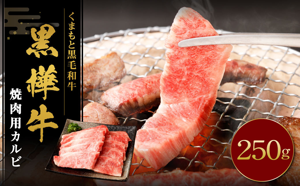 
                  黒樺牛 焼肉用カルビ 250g×1パック 黒毛和牛 焼き肉 牛肉 冷凍
                