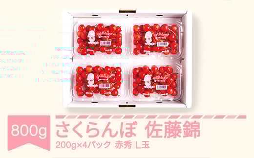 
            先行予約 さくらんぼ 佐藤錦 赤秀 L玉200g×4パック 2025年産 令和7年産 山形県産 mm-snplx800
          