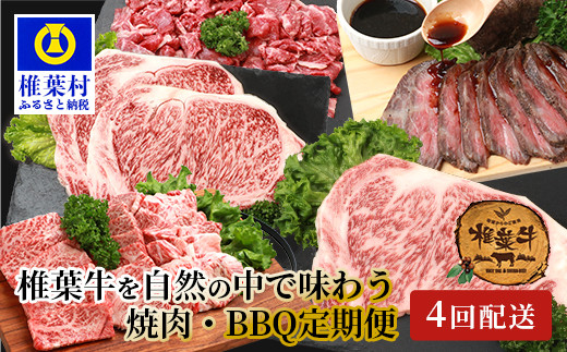 
【定期便4回】総重量2.4kg！椎葉牛 大自然の中で味わう焼肉・BBQ定期便≪焼き肉・ステーキ・切り落とし・ローストビーフ≫【A5等級指定 黒毛和牛】A5ランク a5 A5【日本三大秘境 椎葉村 育ちの黒毛和牛】
