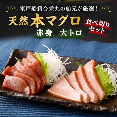 ふるさと納税 室戸市 厳選天然本マグロ大トロ・赤身食べきりセット【約400g】 |  | 01