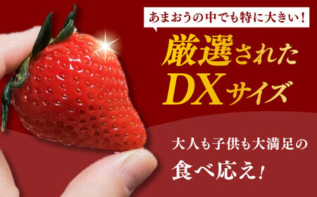 【先行予約！2025年1月中旬より順次発送】産地直送 あまおうDXセット 約1kg いちご イチゴ 苺 フルーツ 果物 旬 福岡県産 広川町/JAふくおか八女農産物直売所どろや[AFAB004]