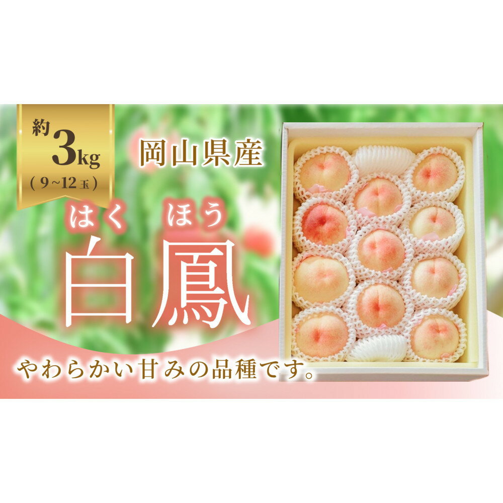 【ふるさと納税】《2026年発送》岡山県産 桃 白鳳 約3kg 9～12玉 | もも フルーツ 果物 くだもの 食品 人気 おすすめ 送料無料