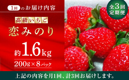 【先行予約】【3回定期便】高級 いちご 恋みのり  約1600g（200g×8pc）【伊藤農園】苺 いちご ストロベリー イチゴ 特産品 オーガニック 有機栽培 [ZBB010]