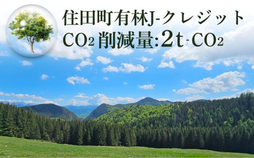 「森林・林業日本一のまちづくり」住田町の町有林（FSC森林認証取得）J-クレジット 2t-CO2 二酸化炭素 排出削減 環境保全 森林環境 森林保全 森林整備 エコ 岩手県【#0160-02】