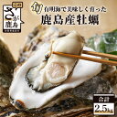 【ふるさと納税】鹿島産 牡蠣 2.5kg(殻付き)【加熱調理用】品種(スミノエ)B-559