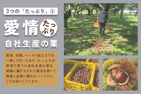 和栗のモンブラン 2個セット IM-003