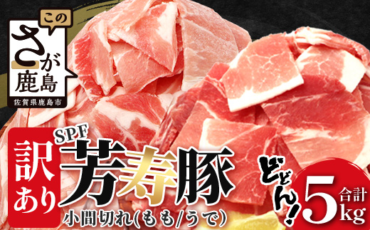 訳あり SPF芳寿豚 小間切れ大容量満足セット1kg×5袋【合計5kg】【業務用サイズでボリューム重視の方におすすめ】【料理に便利】豚肉 こま切れ 切落し 切り落とし C-90