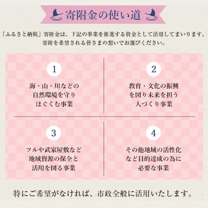i902 ≪返礼品なし・1,000円≫鹿児島県出水市への寄附 返礼品なし 寄附のみ【出水市役所】