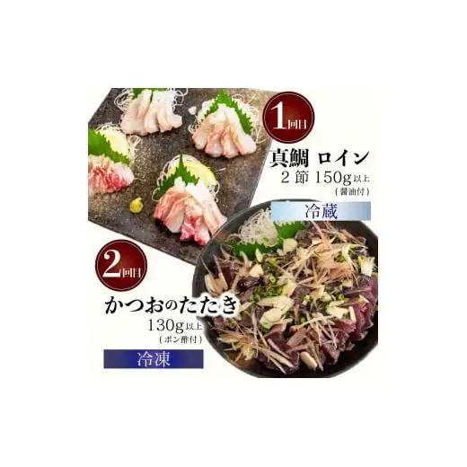 【 刺身 】 刺身定期便4ヶ月