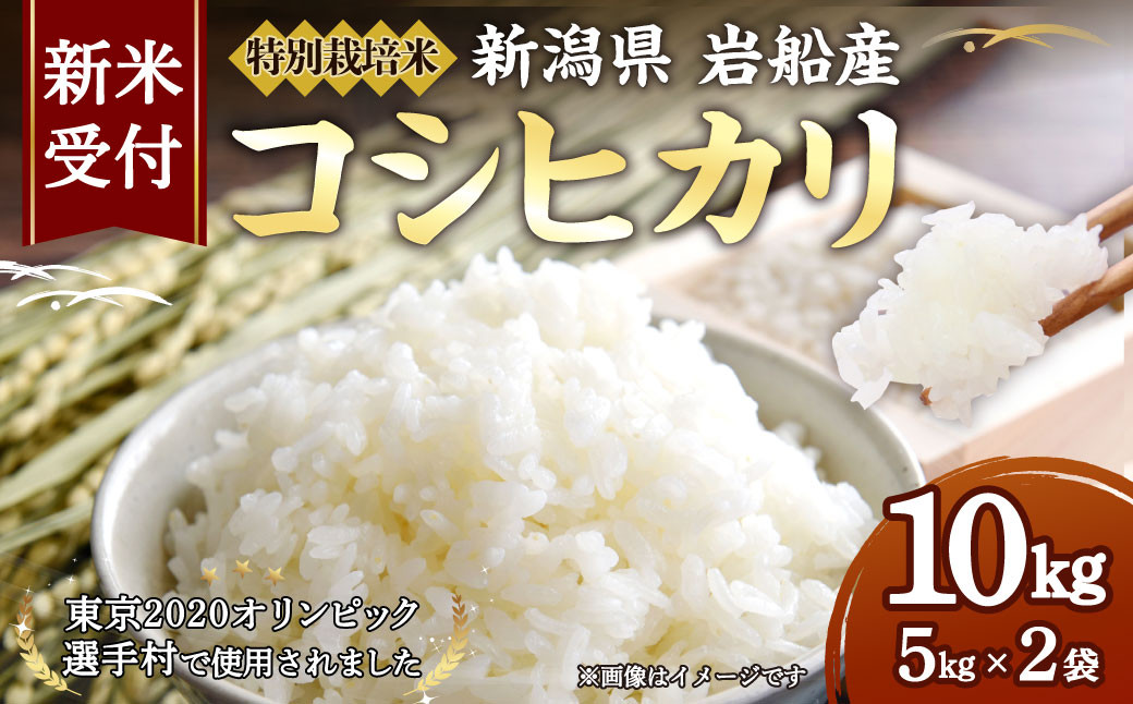 
            【新米受付・令和7年産米】NB4034 特別栽培米 新潟県岩船産コシヒカリ 10kg
          