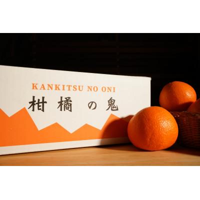 ふるさと納税 八幡浜市 八幡浜産「富士柿2.5kg」「温州みかん3kg」旬の果物食べ比べセット【C56-51】 |  | 03