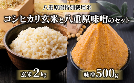 【太陽と大地】令和7年産「八重原産特別栽培米（減農薬・減化学肥料栽培）コシヒカリ（玄米）２kg」と「信州味噌「八重原味噌」５００g」セット※2025年10月中旬以降発送　玄米玄米玄米玄米玄米