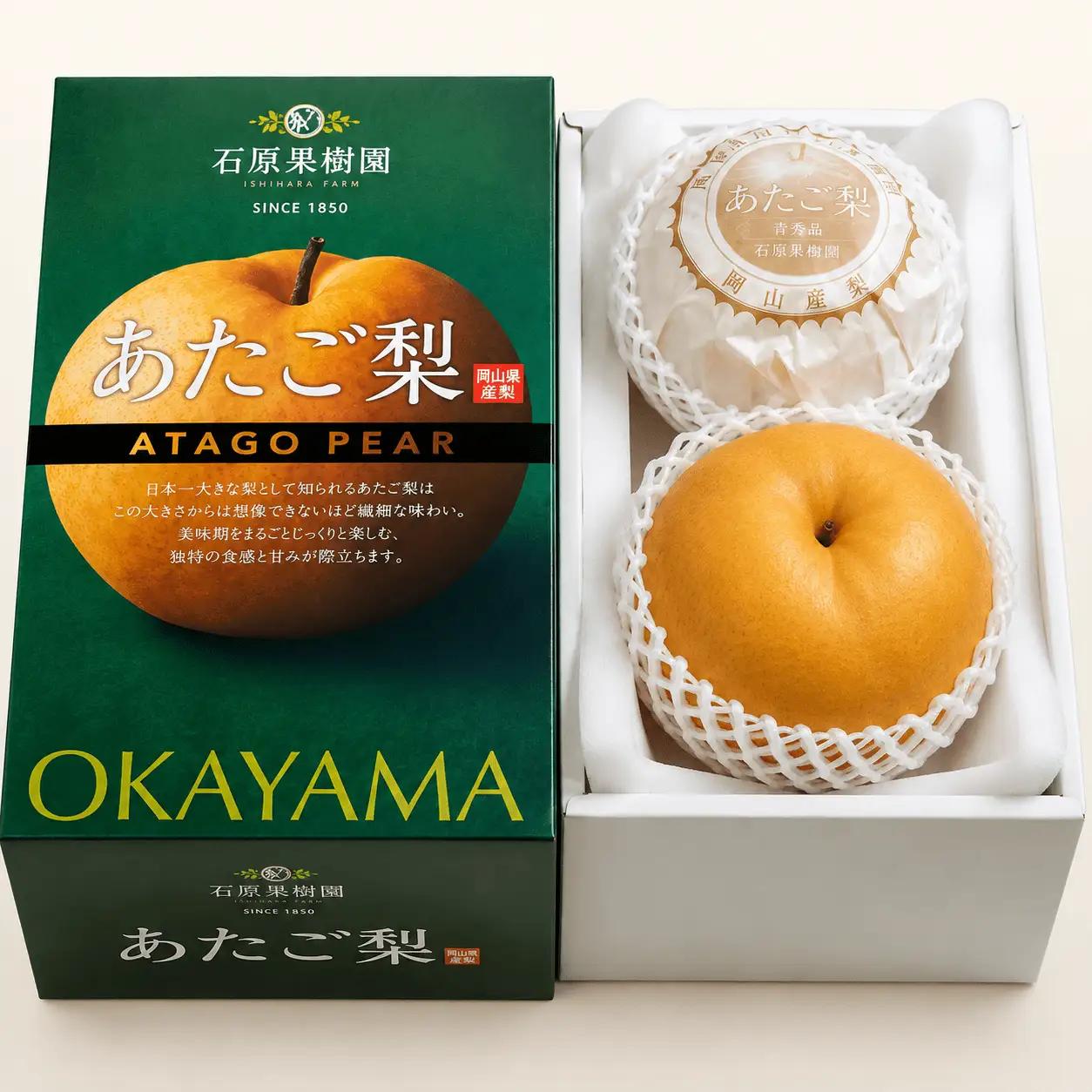 梨 あたご梨 約1.1kg玉2玉 化粧贈答箱 岡山県産 愛宕梨【ishk008-01】