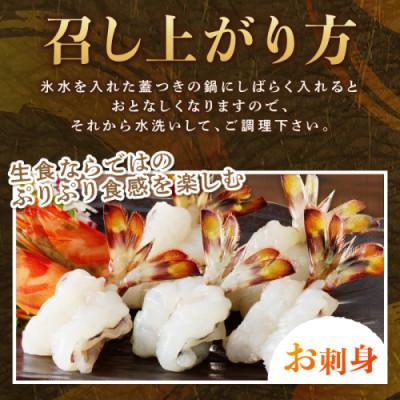 ふるさと納税 松浦市 新松浦漁協 活きくるまえび　300g |  | 02