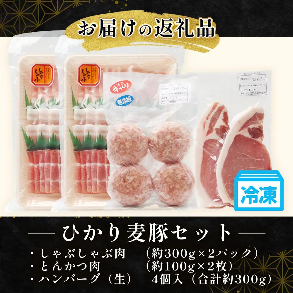 【ふるさと納税】鹿児島県産 ひかり麦豚【しゃぶしゃぶ 食べ比べ + とんかつ肉 + ハンバーグ】セット ≪合計1.1kg≫ HM-702  | 肉 お肉 にく 豚肉 ロース 肩ロース バラ肉 スライス