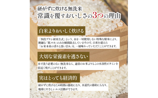 【令和６年産米】【無洗米】 仁井田米にこまる 5kg こだわりの無洗米でおいしく簡単！／Bos-B02