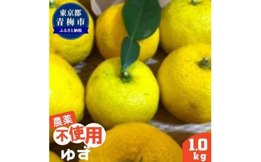 
栽培中 農薬不使用 ゆず 1kg [№5714-0205]
