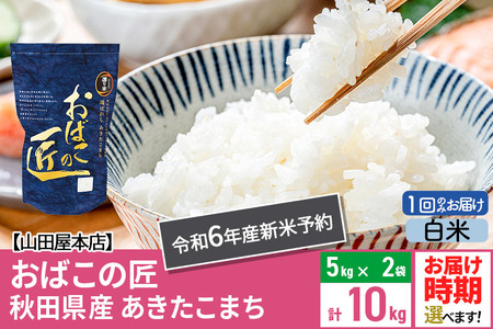 【白米】令和6年産 新米予約 仙北市産 おばこの匠 10kg（5kg×2袋）秋田県産あきたこまち 秋田こまち お米