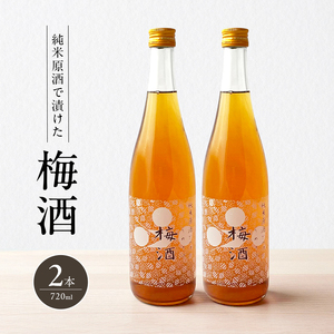 梅酒 果実酒 純米原酒でつけた梅酒 富久錦 低アルコール 梅酒【720ml×2本】