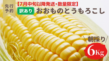 とうもろこし おおもの 6kg 訳あり 農家直送 朝採り【 先行予約2026年7月中旬発送】