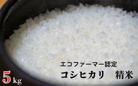 令和7年産 新米【エコファーマー認定】 コシヒカリ 白米 5kg ／ 米 こめ コメ ごはん ご飯 お米 おこめ 精米 白米 新米 エコファーマー認定 5kg 令和7年 千葉県 東庄町 産地直送