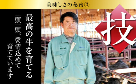 牛肉 【定期便】あだたら酵母牛（ステーキ用）サーロイン 600g×3回 牛肉 牛肉 牛肉