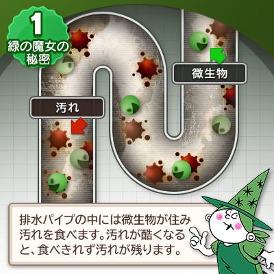 ふるさと納税 龍ケ崎市 一石二鳥　洗剤+パイプクリーナーの機能可　次世代型環境配慮型洗剤 緑の魔女トイレ5L×1 |  | 01