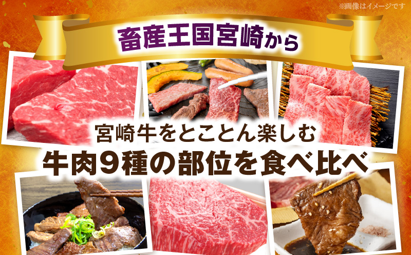 宮崎牛焼肉9種盛（約630g）お肉 肉 牛肉 宮崎牛 ロース 肩ロース ザブトン ミスジ ウデ カルビ モモ 焼肉 冷凍 記念日 誕生日 お祝い ギフト 贈答 プレゼント セット 食べ比べ お取り寄せ