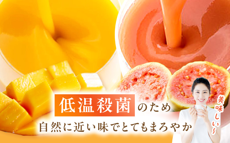 とろーり果実感！ハーフボトル グァバ・マンゴードリンク2本セット(300ml×各1本)_K021-028