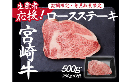 【生産者応援！】宮崎牛ロースステーキ500g（250g×2枚 宮崎牛 和牛  国産 牛肉  霜降り ステーキ ロース 冷凍 送料無料）