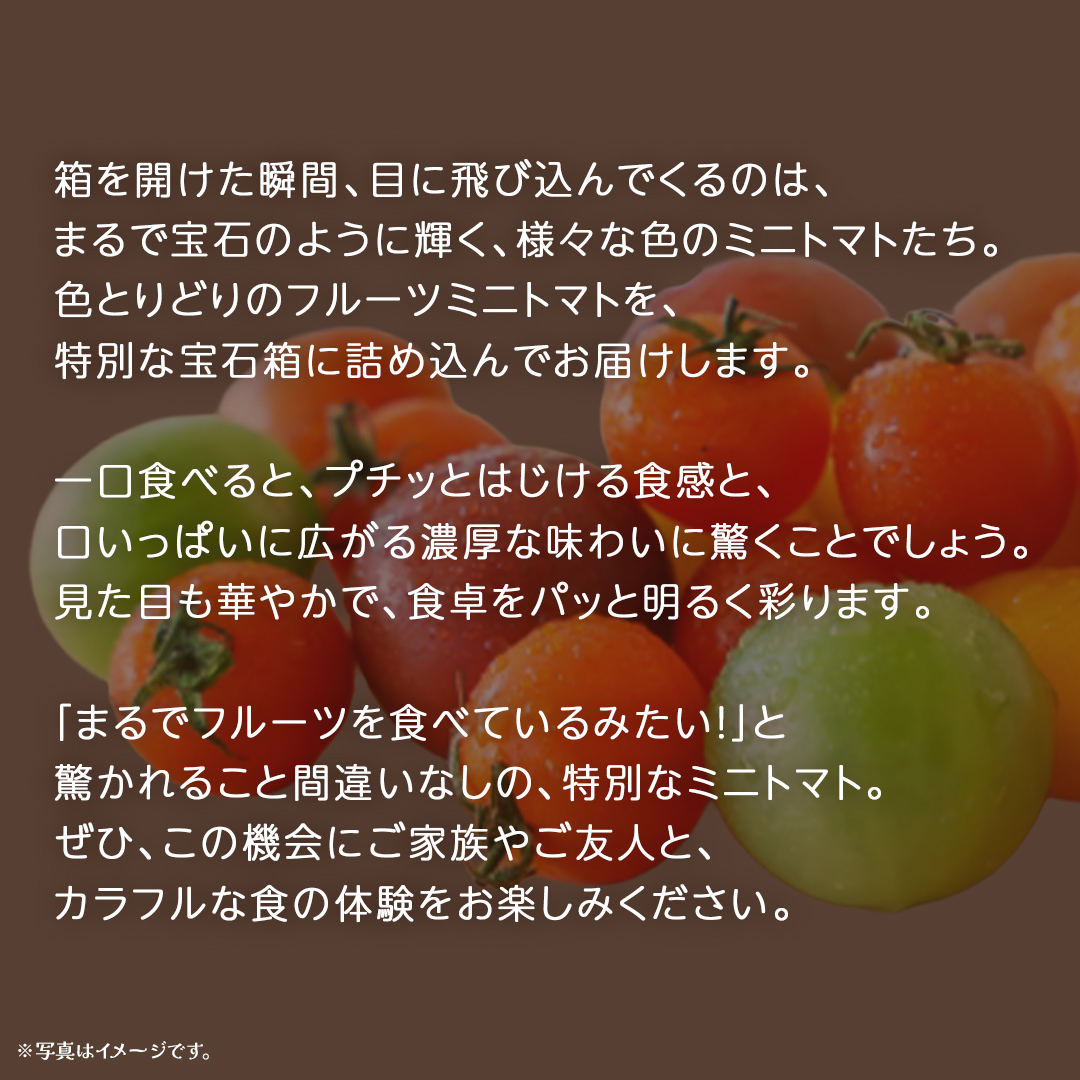 カラフル ミニトマト の宝石箱 36粒【2026年1月上旬発送開始】(茨城県共通返礼品：大子町) 野菜 フルーツ 旬 季節限定 期間限定