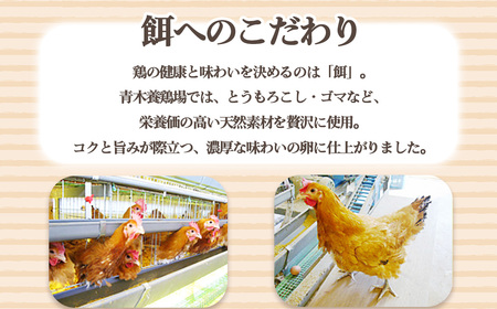 No.227 国産　赤卵　60個入 ／ 赤たまご 赤玉子 卵 たまご タマゴ 玉子 鶏卵 産みたて 新鮮 こだわり 上質 濃厚 卵焼き 卵かけご飯 国産 阿久比町産 愛知県 特産