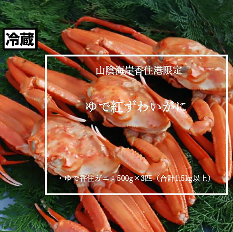 【ふるさと納税】【訳あり】 浜茹で 香住ガニ 【計1.5kg以上（500g×3匹）】冷蔵便 ボイル 蟹 ベニズワイガニ 日本海 海の幸 訳アリ チルド 香住がに 兵庫県 香美町 グルメ カニ鍋 お取り寄せ 送料無料